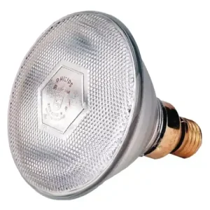 Sparlampe Philips 100W 240 V, klar Online Kaufen