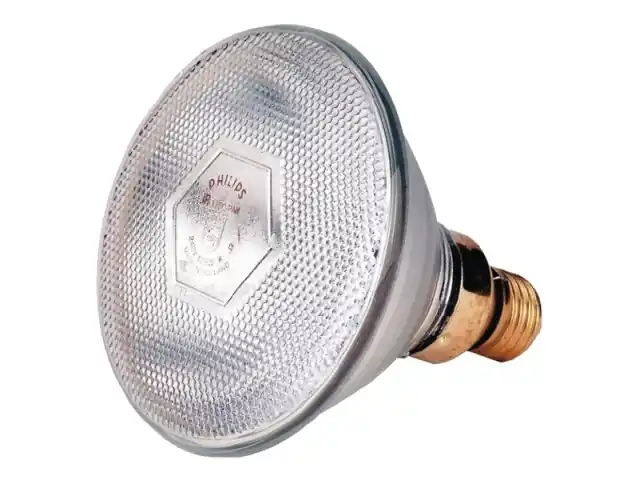 Sparlampe Philips 100W 240 V, klar Online Kaufen