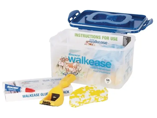 Wochenendangebot Walkease Starter-Set komplett, Gr. M (gelb), 10 Stück/Pack