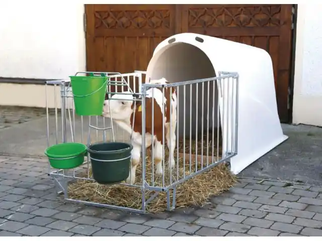 Letzte Chance CalfHouse Master Plus mit schwerer Umzäunung
