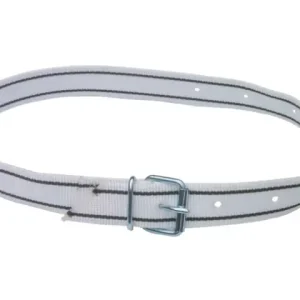 Finale Aktion Markierungsband 135cm, grün/ws ohne Leder, Rollschnalle