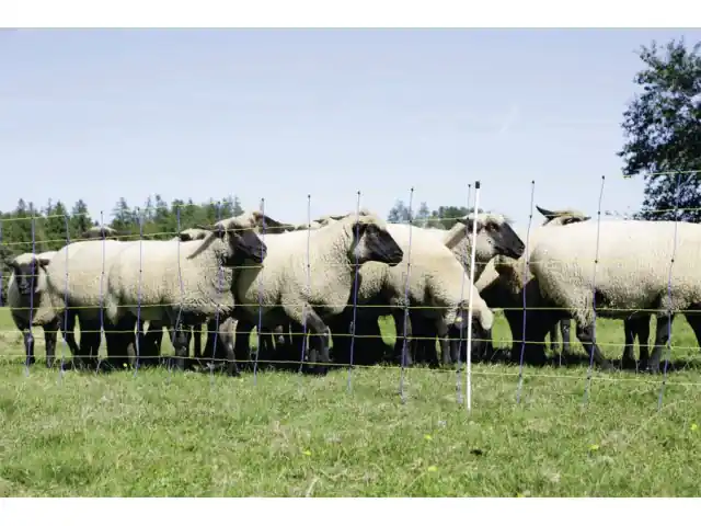 Schneller Versand TitanPro Net Schafzaun 14 Pfähle 90cm 50m Doppelspitze