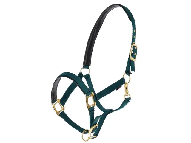 Halfter "Top Line" Pony mit 2 Dornschnallen grün Aktuell