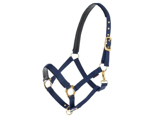 Halfter "Top Line" Full mit 2 Dornschnallen navy (blau) Markenprodukt