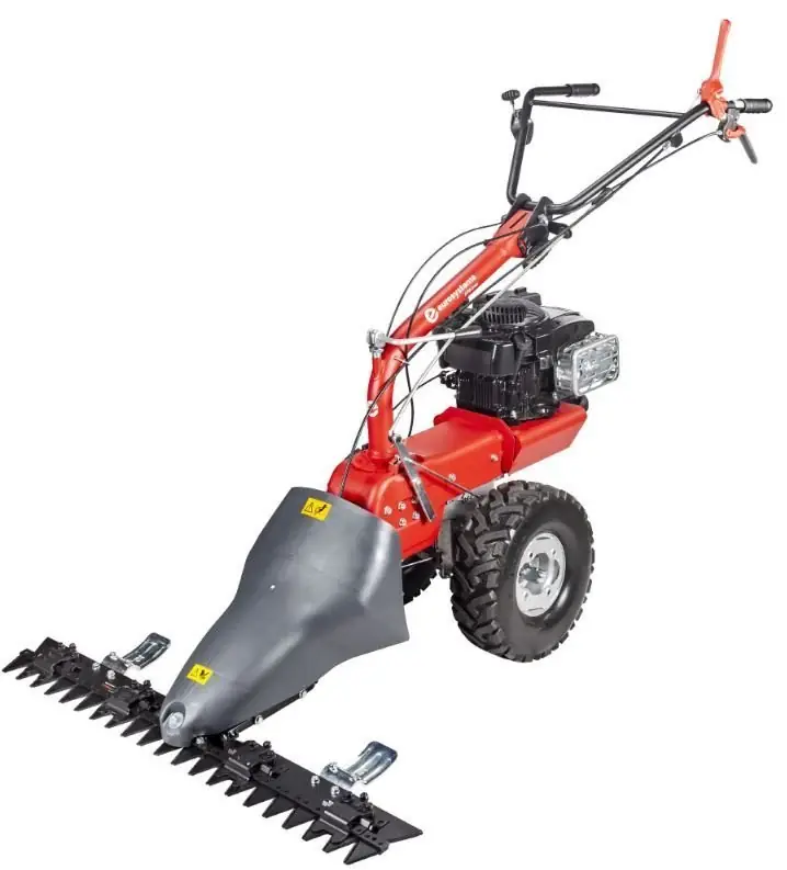 Eurosystems Geräteträger P70evo M 250 EVO B&S 850 InStart, 190 ccm OHV - Grundmaschine ohne Anbaugeräte Top-Preis