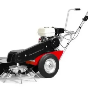 4F Limpar Wildkrautbürste Taifun - Kohler Motor Neu