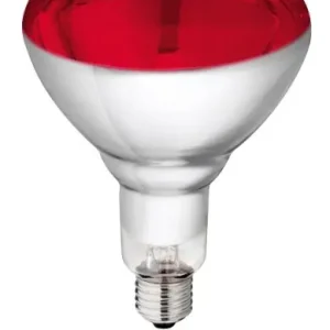 Hartglas-Infrarotbirne, 240V Kracherpreis