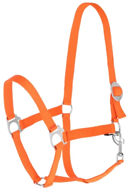 Nylonhalfter "Hippo" Gr.1, orange Echt
