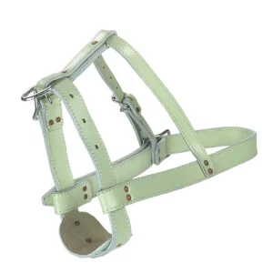 Kerbl Bullenhalfter - Leder doppelt Super-Preis