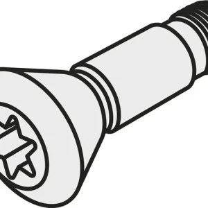 Jetzt Kaufen Torx-Innensechskantschraube ISO CS 8603-T20P Bruttogewicht 5g PRAMET