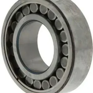 Toroidalrollenlager C5020V ID 100mm AD 150mm Breite67mm 1St./VE SKF Neu