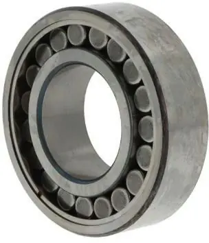 Toroidalrollenlager C5020V ID 100mm AD 150mm Breite67mm 1St./VE SKF Neu