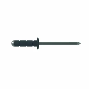 GESIPA PolyGrip® Farbige Blindniete Alu/Niro - Flachrundkopf Letzte Chance