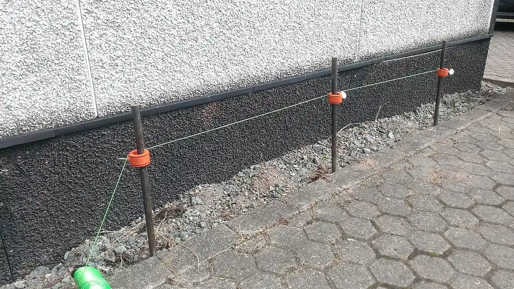 Probst Schnurhalter STRING ALONG SA Top-Preis