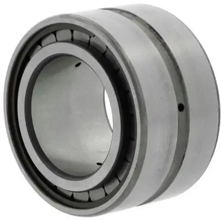 Top-Angebot Zylinderrollenlager SL185004 -C3 ID 20mm AD 42mm Breite30mm INA