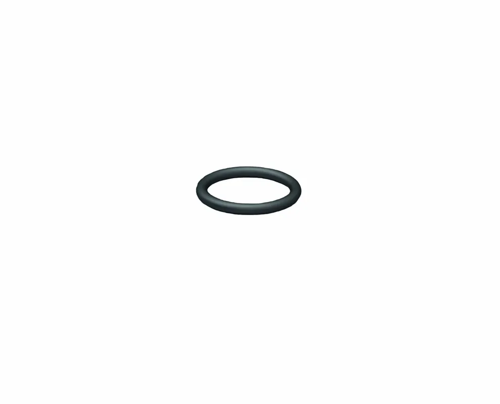 GESIPA O-Ring 9,5 x 1 Nur Heute
