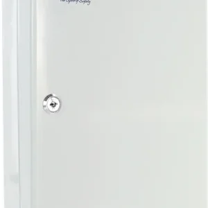 Neu Im Sortiment Schlüsselbox SK 30 H300xB245xT85mm lichtgrau STA Anz.Hak.30 ROTTNER