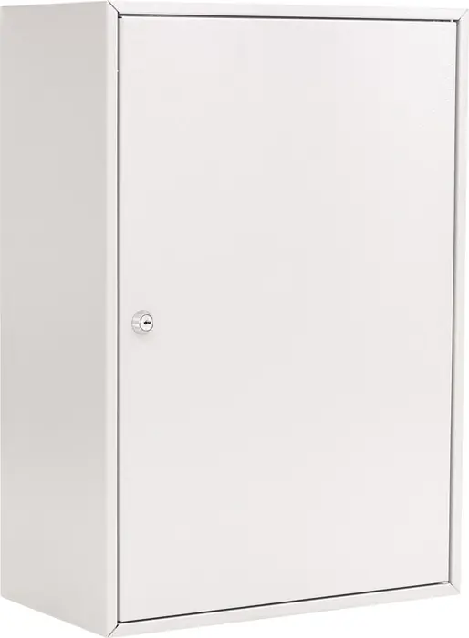 Schlüsselschrank S 300 H550xB380xT205mm 1-türig Zylinderschl.Anz.Hak.300 ROTTNER Preisknaller