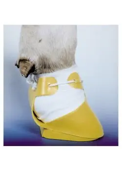 Meistverkauft Klauenschuh - Shoof – 110 bis 125 cm – verschiedene Farben