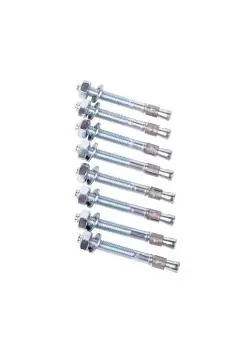 Montageset - 8 Bodenanker - Länge 95 mm - Ø 10 mm - 2 Ausführungen Meistverkauft